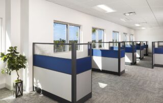Finished office interior with rows of blue and white cubicles, gray carpet, drop ceiling, and windows overlooking palm trees